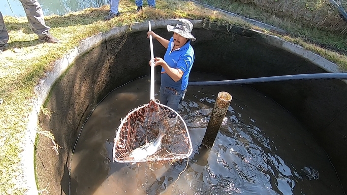 Captura de pantalla (755).png